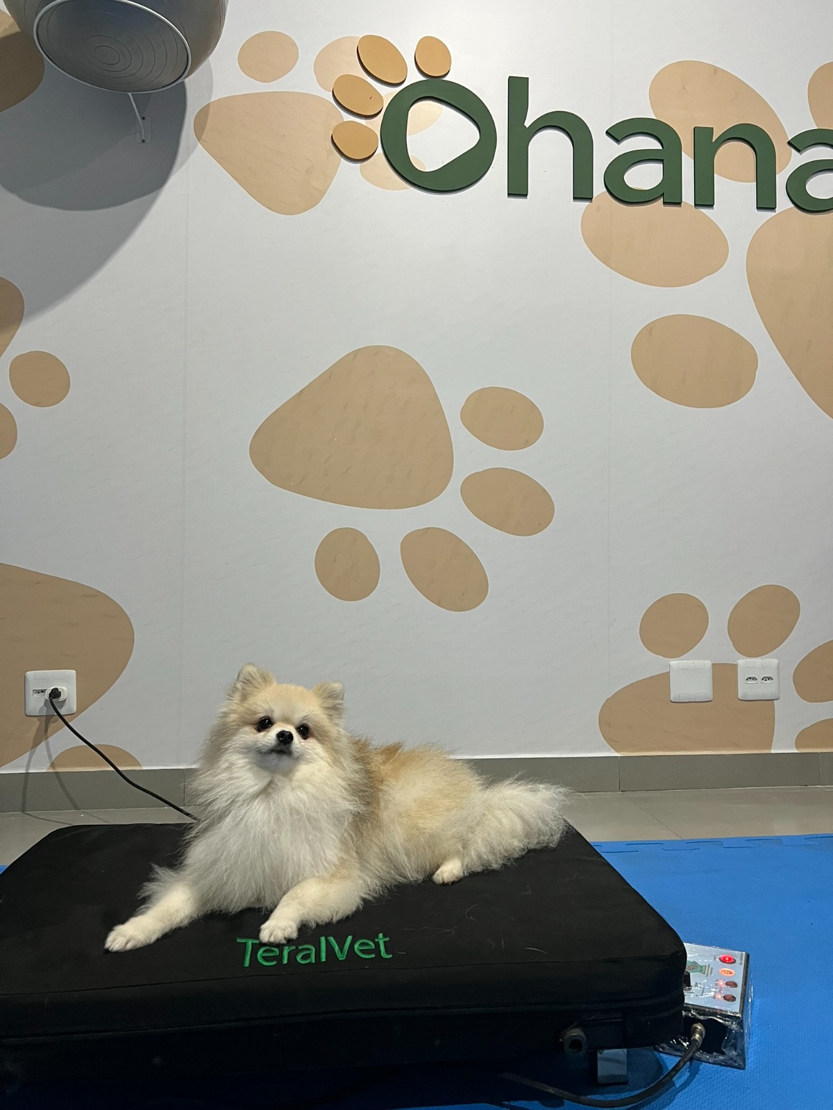 Estrutura Ohana